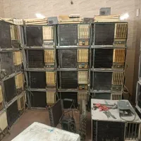 در اهواز مشتری کولر دیواری میبریم خریدار کولر