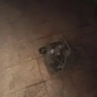 مکانیک وجلوبند تنظیم موتور سیار وثابت