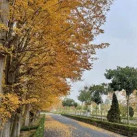 زمین-شهرک-پزشکان-آمارو