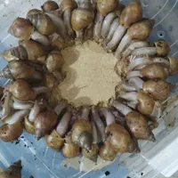 خاویاروکرم وصابون حلزون فروشی