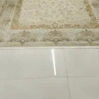 فرش طرح جدید کلاسیک|فرش|آمل, |دیوار