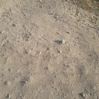 قطعه ۳۰۰متر تره بارشهریار