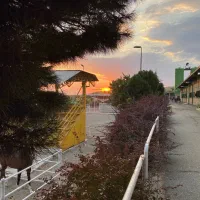 پانسیون و آموزش سوارکاری