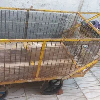 قاری در حد نو