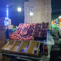 عرضه کننده بهترین انار ایران|خوردنی و آشامیدنی|تهران, مسعودیه|دیوار