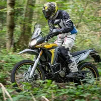 تریل دلتا CRFرالی 250 شاهین موتور صفر 1404فروش چکی