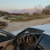 زمین مزروعی|فروش زمین و ملک کلنگی|ماهان, |دیوار