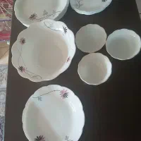 سرویس ارکوپال ناقص