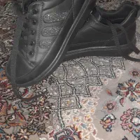 کیف و کفش نو زنانه