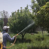 خدمات باغبانی وهرس درختان|خدمات باغبانی و درختکاری|آمل, |دیوار