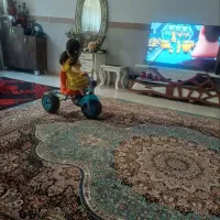 فرش 12 متری