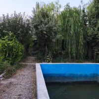 فروش باغچه