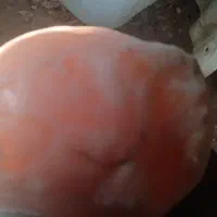 سلام خسته نباشید ب برنامه دیوار سنگ اصل قدیمی|کلکسیون اشیاء عتیقه|بوشهر, |دیوار