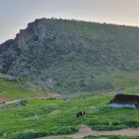 گاراژ-بزرگ-جاده-مهران