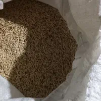 جو آبی تناژبالا