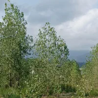 جدول کار