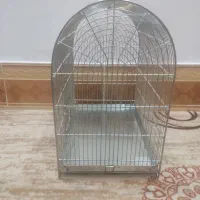 قفس سهره|لوازم جانبی حیوانات|بروجرد, |دیوار
