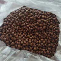 غذای گربه