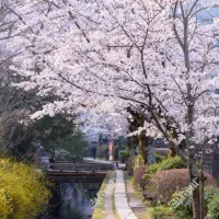 مشهد گردی بهاری