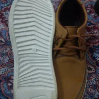 کفش مجلسی|کیف، کفش، کمربند|باوی, |دیوار