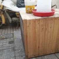 قفس مرغ|لوازم جانبی حیوانات|تبریز, |دیوار