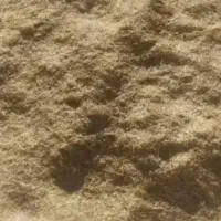 فروش نقدی کاه سفید(نرم، ریز) کیلویی۱۱ هزار