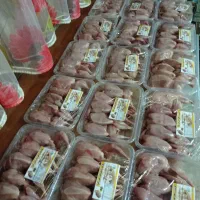 فروش گوشت بلدرچین کاملا اورگانیک