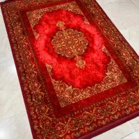 گالری آرت کارپت امینی