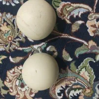 سنک اسیاب