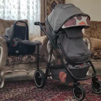 کالسکه چیپولینو طرح پاترینو