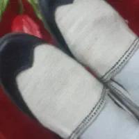 کفش گیوه نوسایز41