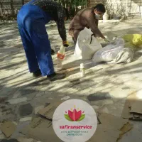 سمپاشی و دفع‌موریانه تخصصی سوسک سمپاشی