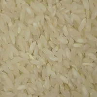 برنج کامفیروز