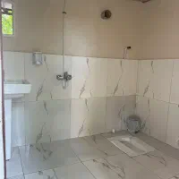 اجاره کلبه درختی و سوییت کاهگلی|اجارهٔ کوتاه‌مدت ویلا و باغ|کیاسر, |دیوار