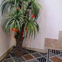 درختچه