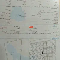 زمین برازجان (سند ثبتی تک برگ) پشت پارک علی آباد|فروش زمین و ملک کلنگی|برازجان, |دیوار