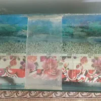 آکواریوم|ماهی|بهارستان, |دیوار