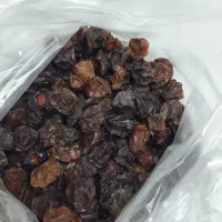 آلوچه