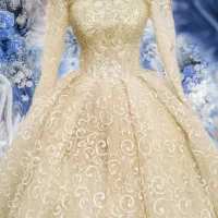 لباس مجلسی و نامزدی عقد|لباس|ری, سرتخت|دیوار