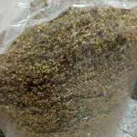 گل بابونه|خوردنی و آشامیدنی|شیراز, کوشک میدان|دیوار