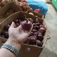 انواع پیاز ریز‌ ترشی|خوردنی و آشامیدنی|تهران, چیتگر جنوبی|دیوار