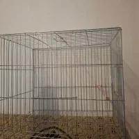 قفس پرنده|لوازم جانبی حیوانات|میانه, |دیوار