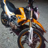 تریل ۲۳۰ عروسک