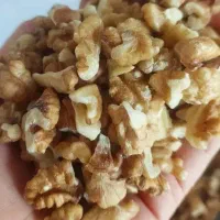 گردو