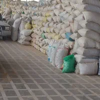 خرید فروش بادام