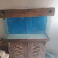 آکواریوم در‌حد نو بزرگ