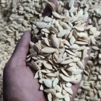 ۴۰۰کیلو تخمک آفتاب گردان خارجی درشت s400|عمده‌فروشی|شیراز, سعدیه جنوبی|دیوار
