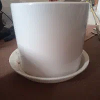 گلدان