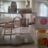 دو عدد قفس بالانه مکانیزه