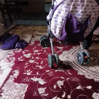 کالسگه.گالسکه|کالسکه و لوازم جانبی|شیراز, شریف‌آباد|دیوار